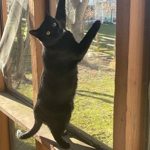 Meet your Posher, Adam